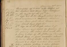 Description of Two Men with Horse and Trap