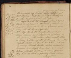Description of Two Men with Horse and Trap