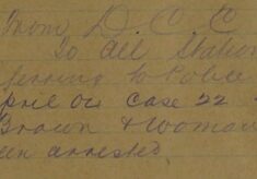 Police Gazette Update