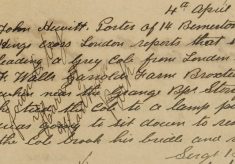 Runaway Horse, Later Found