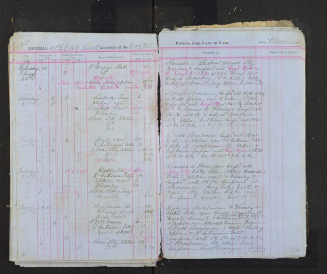 Pages 113-114