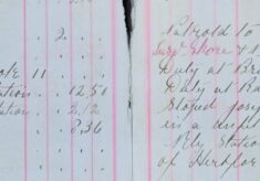 Prevented Ill-Treatment Of A Horse