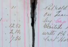 Kept Mail Cart Horse Under Observation