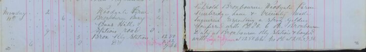 Made Enquiries About Stray Gelding