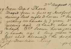Three Horses Strayed from Field