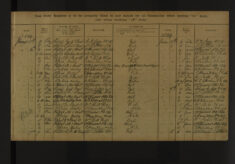 Pages 025-025