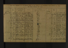 Pages 031-031