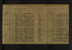 Pages 043-043