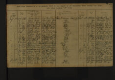 Pages 081-081