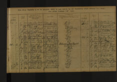 Pages 097-097