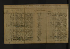 Pages 100-100