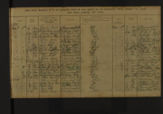 Pages 111-111