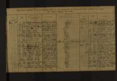 Pages 113-113