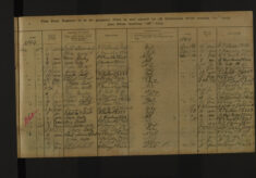 Pages 135-135