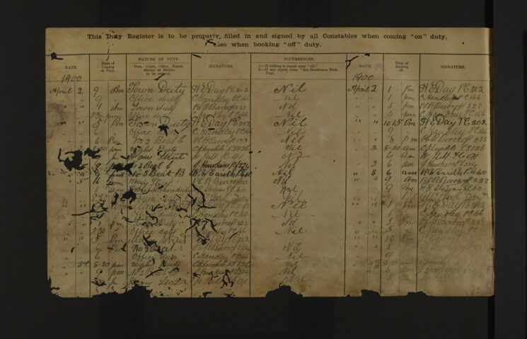 Pages 196-196