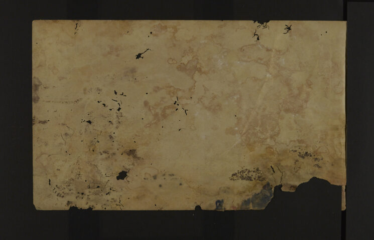 Pages 207a - Blank page