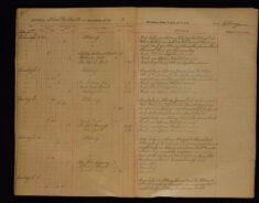 Pages 025-025
