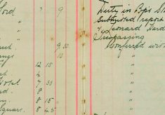 Submitted report against Harry Wiffen and Leonard Harding, wilful damage and trespass