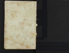 Pages 201c -Blank page
