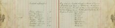 Inspected Sale Books of H O Lee H Sparrow and F Handscombe re sale of Arms and ammunition