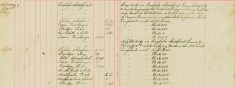 Examined Sale books Of Mr H O Lee and H Sparrow Re Arms and Ammunitions