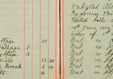 Posted bills, Hay and Straw Regulations dated 30 June 1916 also Belgian compulsory order of 1st Aug 1916