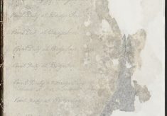 Officer's Journal; PC Frost; PC Elderton:
