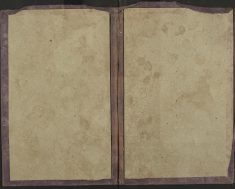Pages 187 - Inside covers