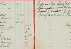 Served Summons upon Frederick Robinson age 33, d&d on the Public Highway