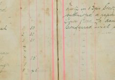 Submitted a report against Mrs Filby of 28 New Town Road for damage to Mrs Gee's Plantation