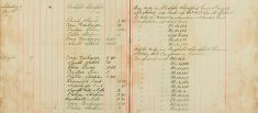 Inspected Sale books Of Mr H O Lee and H Sparrow Re Arms and Ammunitions