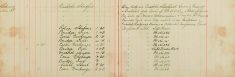 Inspected Sale books Of Mr H O Lee and H Sparrow Re Arms and Ammunitions, Visited Mr Masons premises and saw dog which is in isolation