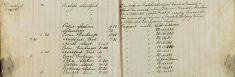 Served summons upon Edward Mansell, Hadham road, attended Cattle market issuing licences for the removal of swine