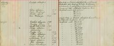 Inspected Sale Books of H O Lee H Sparrow and F Handscombe re sale of arms and ammunition, attended Occasional Court