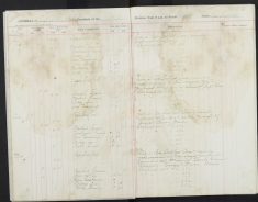 Pages 10-10