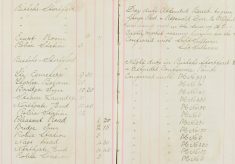 Attended Bench gave evidence against George Reed, Reginald Dyer Wilful Damage