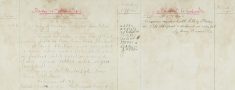 Copy of message received from Cheshunt - Mare strayed