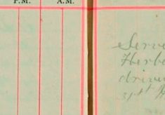 Rest Day - Served summons personally upon Herbert Back of Furneaux Pelham Hall, driving motor car with headlight on