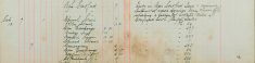 Submitted report against Henry Tully for Stealing ????