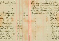 Made Enquiries re Testimonials in favour of Sidney Wallace Reynolds, 41 Nursery Road
