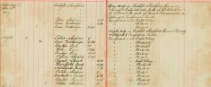 Inspected Sale books Of Mr H O Lee and H Sparrow Re Arms and Ammunitions