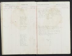 Pages 45b-45b