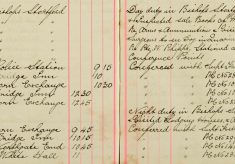 Inspected Sale books Of Mr H O Lee and H Sparrow Re Arms and Ammunitions, Visited Mr Mason Veterinary Surgeons  to see dog in Quarantine and made enquiries re Private W Philipp's Stationed at Warwick