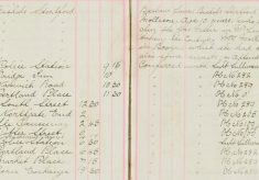 James Mollinson age 10 admitted breaking open the gas meter