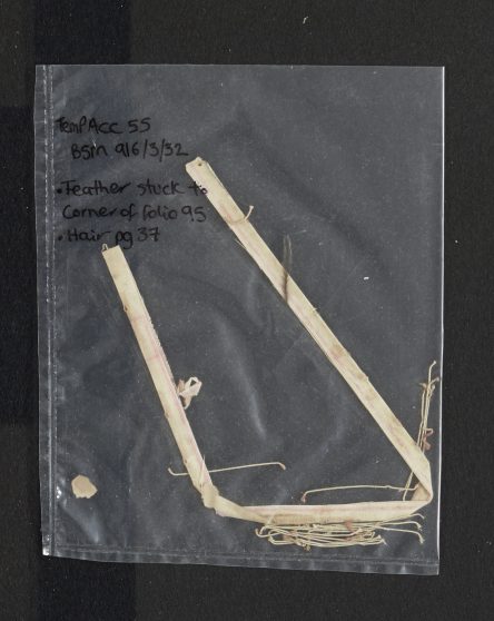 Page 098-Objects in book