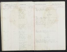Pages 45a-45a