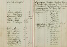 Inspected sale books of H O Lee & H Sparrow and F Handscombe  E sale of Arms and Ammunitions and made enquiries re various information.