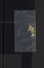 Pages 199c - fragments