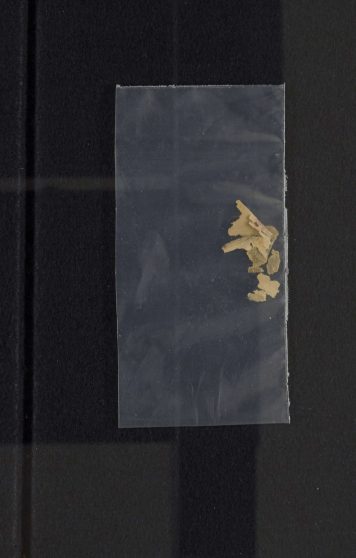 Pages 199c - fragments