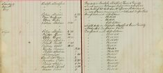 Inspected Sale Books of H O Lee H Sparrow and F Handscombe re sale of Arms and ammunition